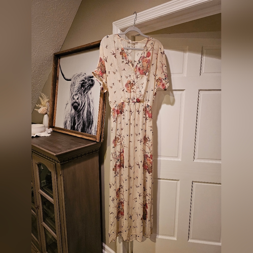 Zara Trafaluc Bird / Floral Sheer Maxi dress